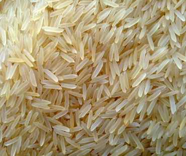 1121-golden-basmati-rice-scaled